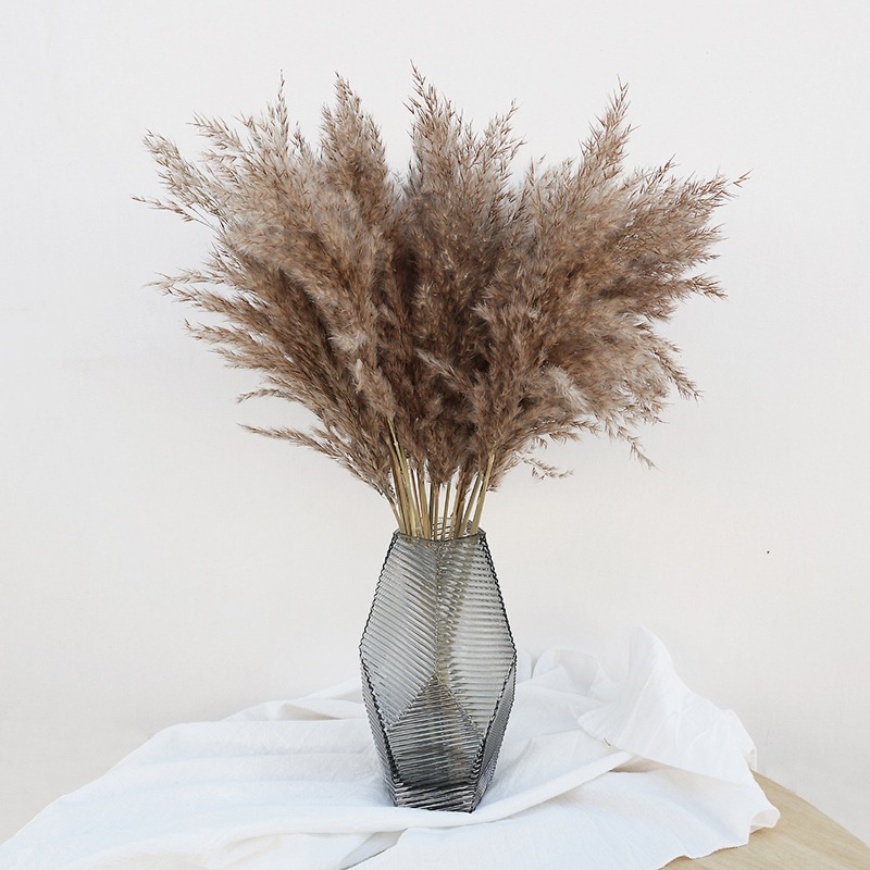 Pampas Grass Decor - 10 Pezzi di Erba della Pampa