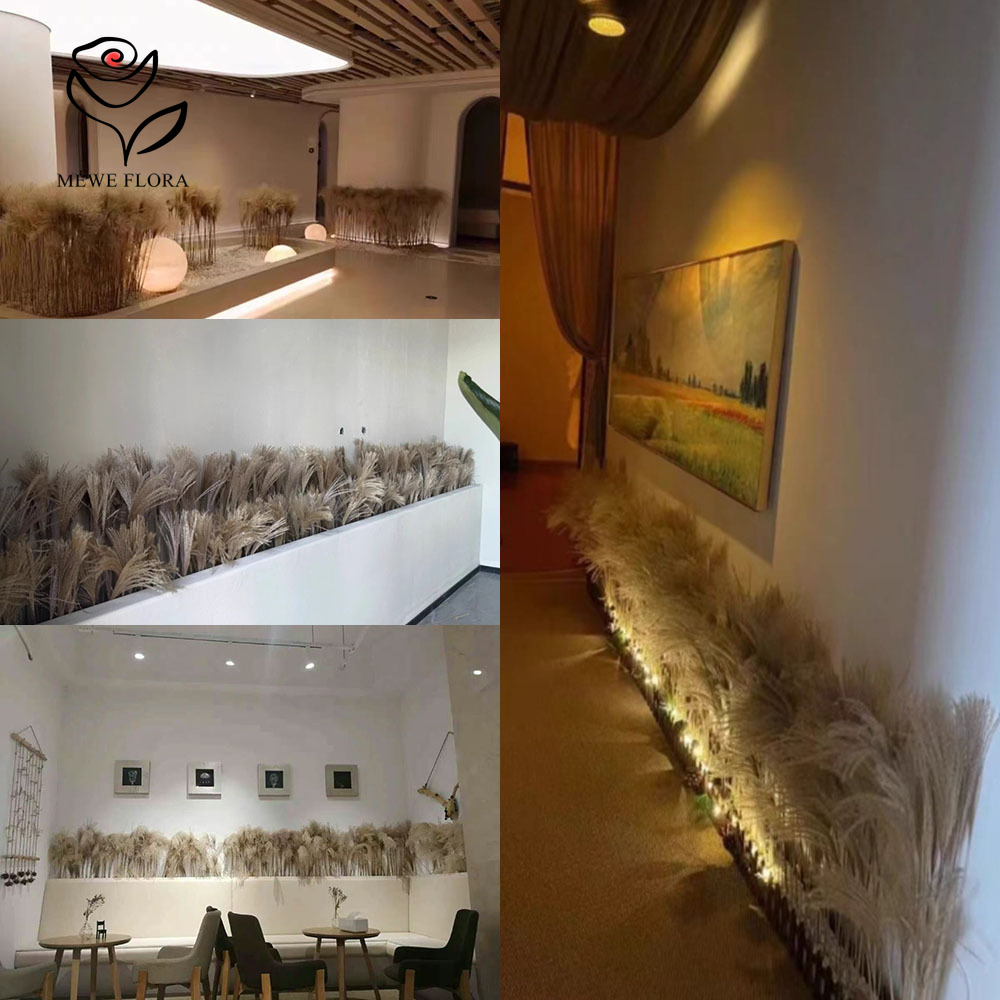 200 pezzi di rose soffici essi - Pampas Grass Decor recensione e prezzo