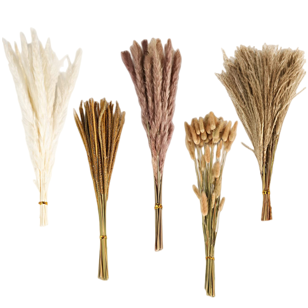 Bouquet di Fiori Secchi Misti  - Pampas Grass Decor recensione e prezzo