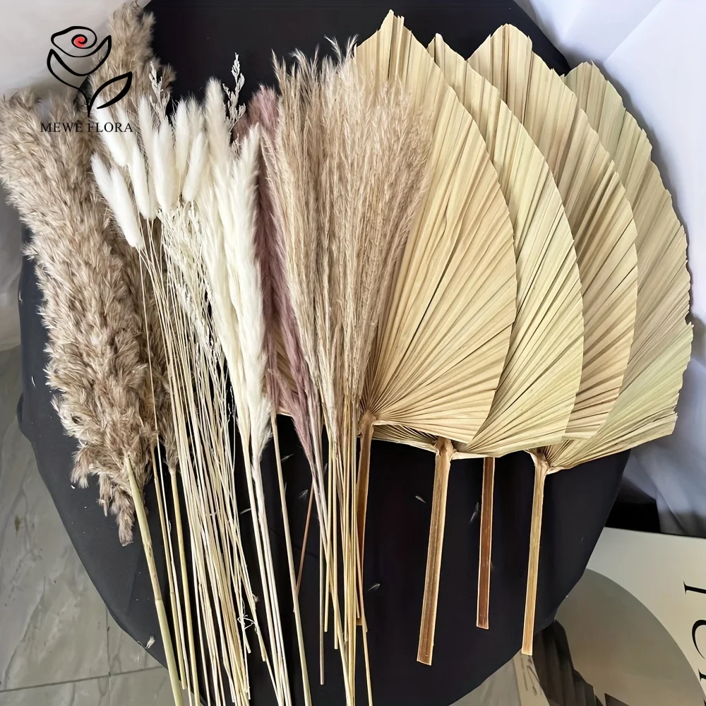 35 pezzi di erba di pampa natu - Pampas Grass Decor recensione e prezzo
