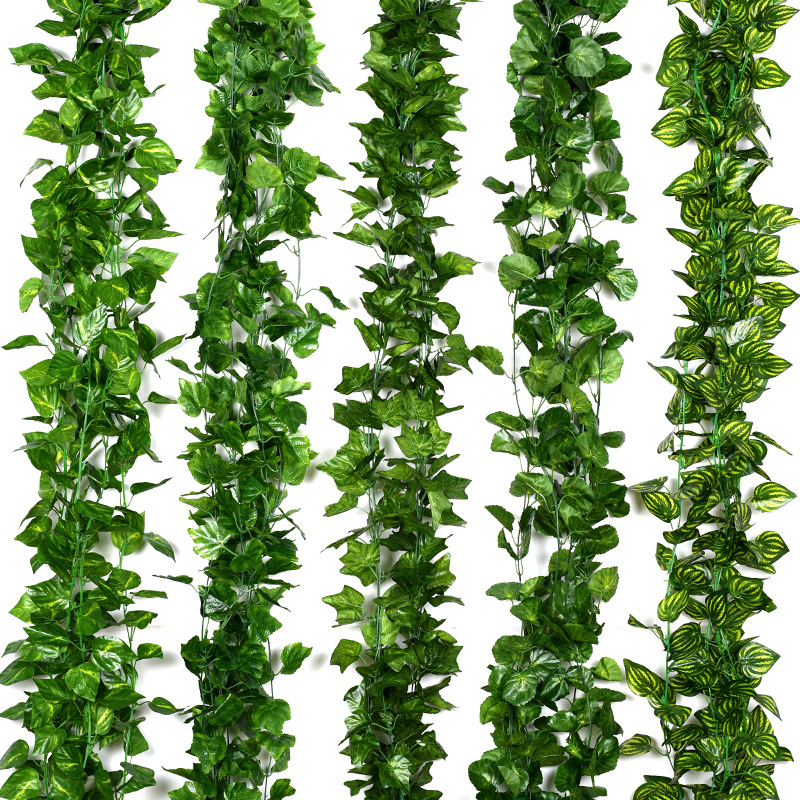 230 centimetri Vivid Piante Ar - Rattan Plant Basket recensione e prezzo